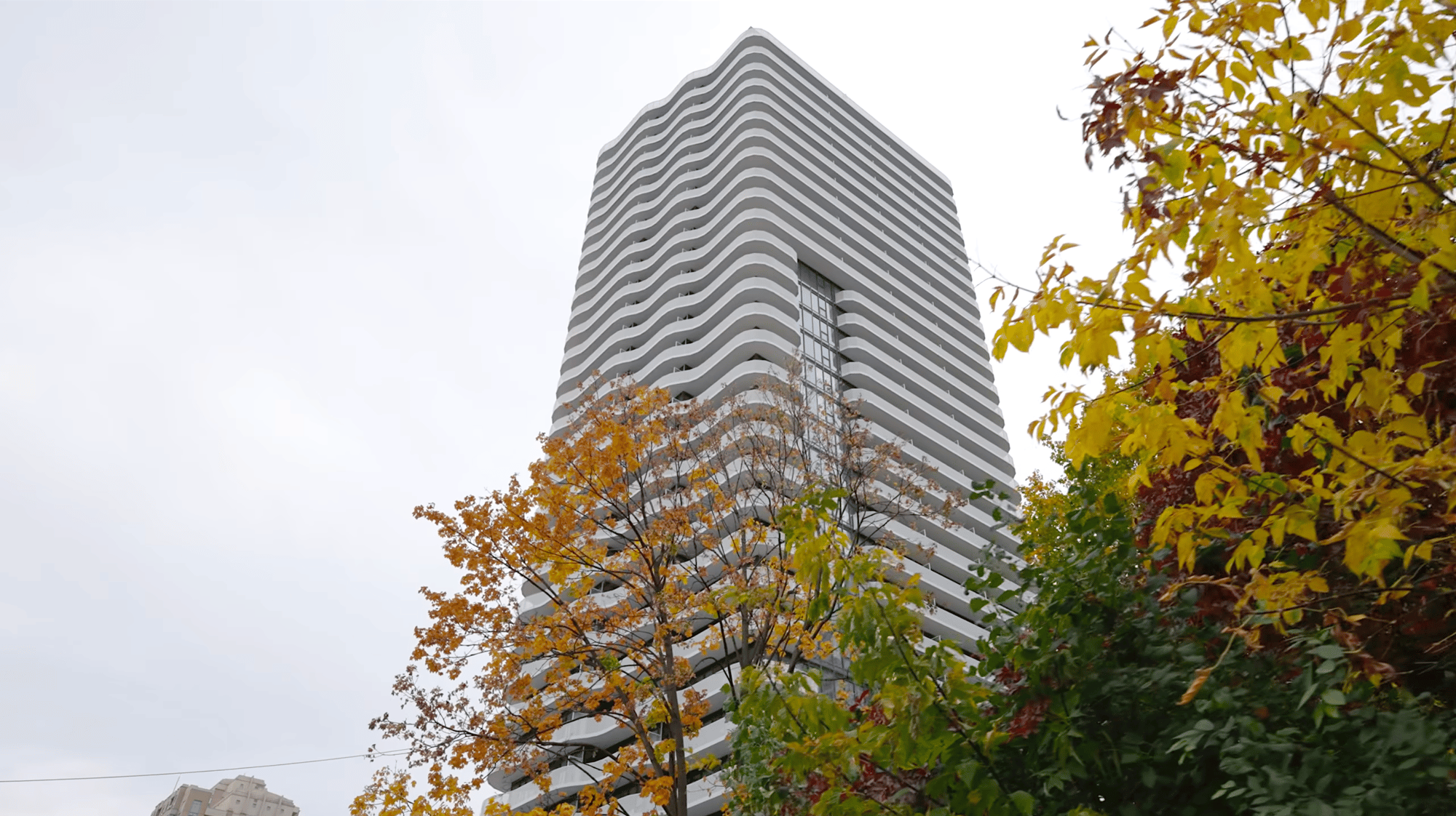 Screenshot 2026-02-27 at 11.24.27 AM 2