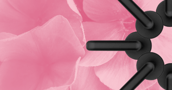 Blog Feature Image-4-Full Bloom